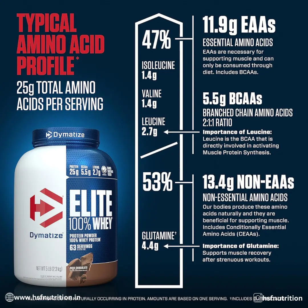 Dymatize Nutrition Elite Whey Protein - 2.26 kg, Rich Chocolate, 25g Protein - Hold Strong Fitness & Nutrition